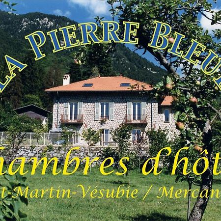 Saint-Martin-Vésubie La Pierre Bleue / Chambres D'Hotes المظهر الخارجي الصورة