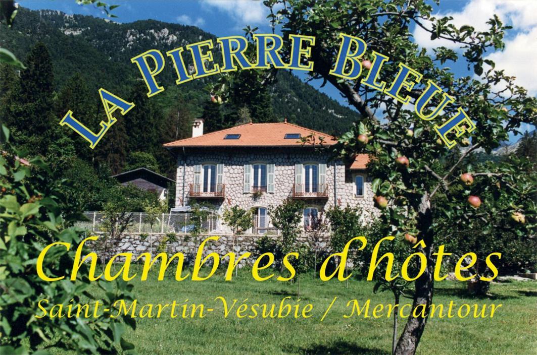 Saint-Martin-Vésubie La Pierre Bleue / Chambres D'Hotes المظهر الخارجي الصورة