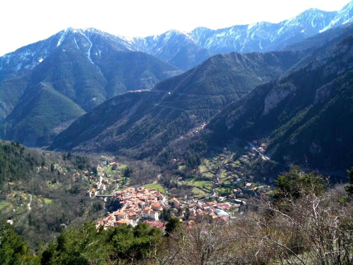 Saint-Martin-Vésubie La Pierre Bleue / Chambres D'Hotes المظهر الخارجي الصورة